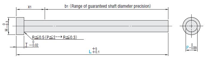 Ty đẩy thẳng EPW