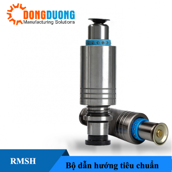 bo dan huong RMSH